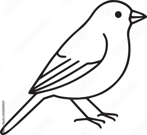 Indigo Bunting Bird Outline Line Art Vector Set