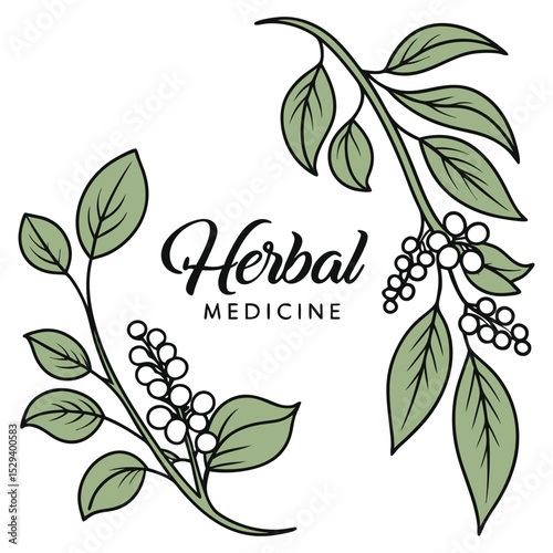 Herbal Medoicine Logo