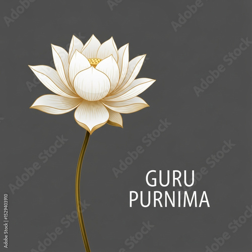 Elegant White Lotus Flower ...