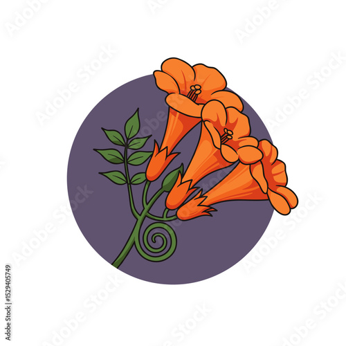 Orange trumpet flowers on purple circle background photo
