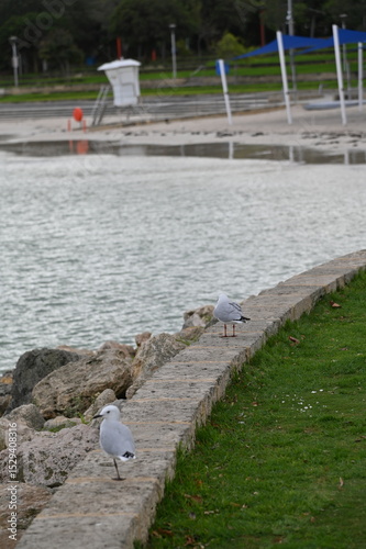 Hillarys, Australia – June 3, 2025: The Hillarys Boat Harbour of Perth CBD