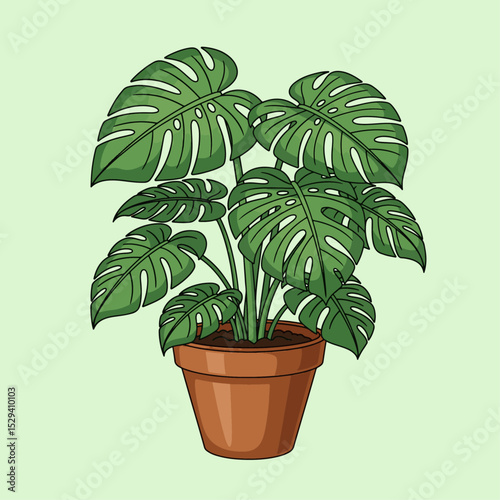 Vivid Monstera Deliciosa Plant in a Classic Clay Pot Brightens Any Room