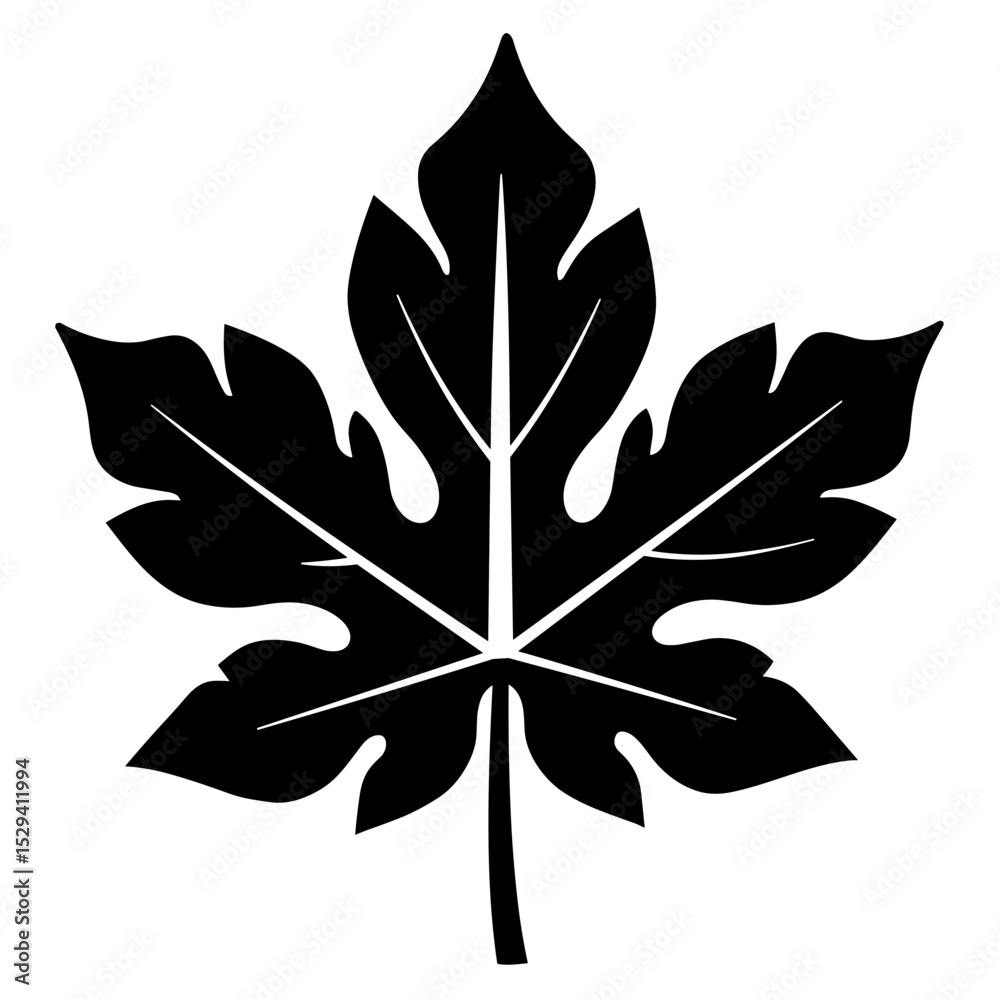 Fototapeta premium Black silhouette of papaya leaf on white background