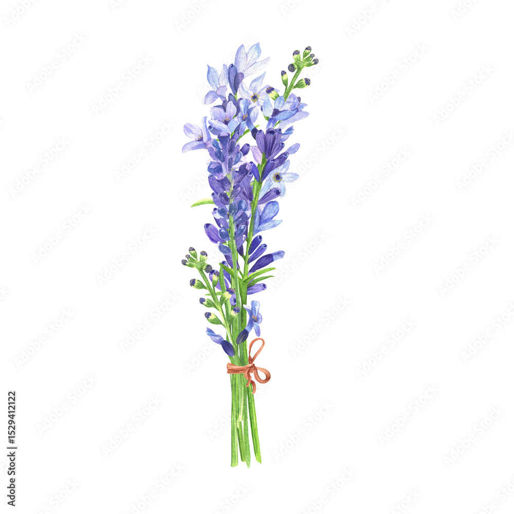 Obraz premium Watercolor lavender twigs bouquet with blue lilac blossoms. Hand-drawn illustration of scented aromatic plants for aromatherapy, healing chakras, herbal tea, cosmetic and parfum