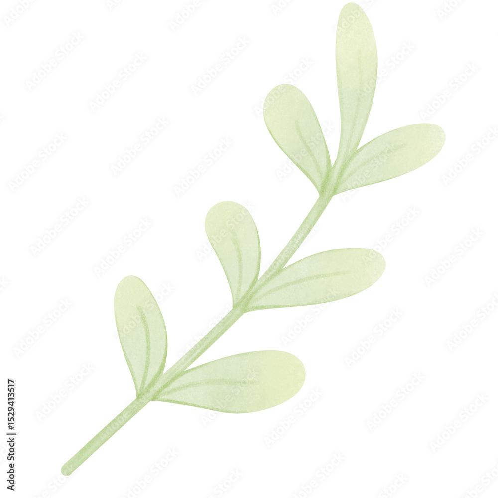 Naklejka premium plant green leaf