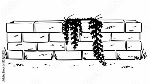 Vintage Black and White lush vine cascades down weathered gray stone wall, creating serene atmosphere