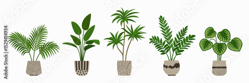 Set of potted plants. Houseplants in ceramic pots for indoor decoration. Hand drawn vector illustration isolated on white background, flat cartoon style.