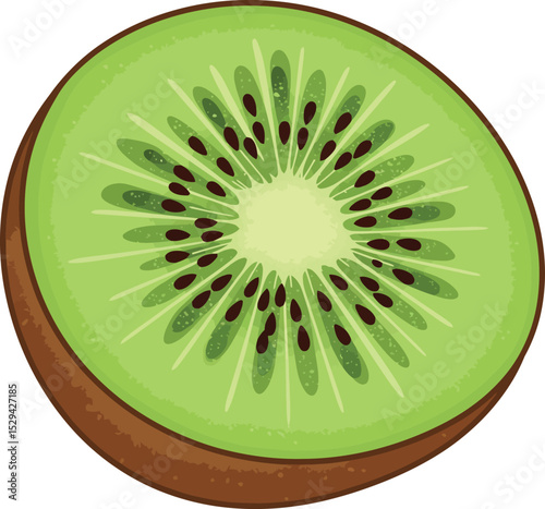 Fresh Sliced Kiwi Fruit Illustration for Healthy Eating and Nutrition