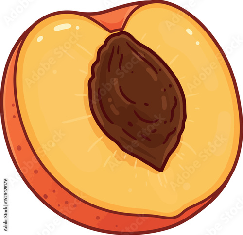 Peach Half with Pit Illustration - Juicy Fruit, Healthy Snack, Nutrition, Organic Produce, Vegan Diet, Vitamin Source, Natural Edible Stone Fruit