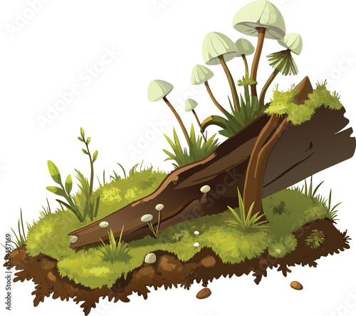 Forest floor scene with mushrooms and fallen log