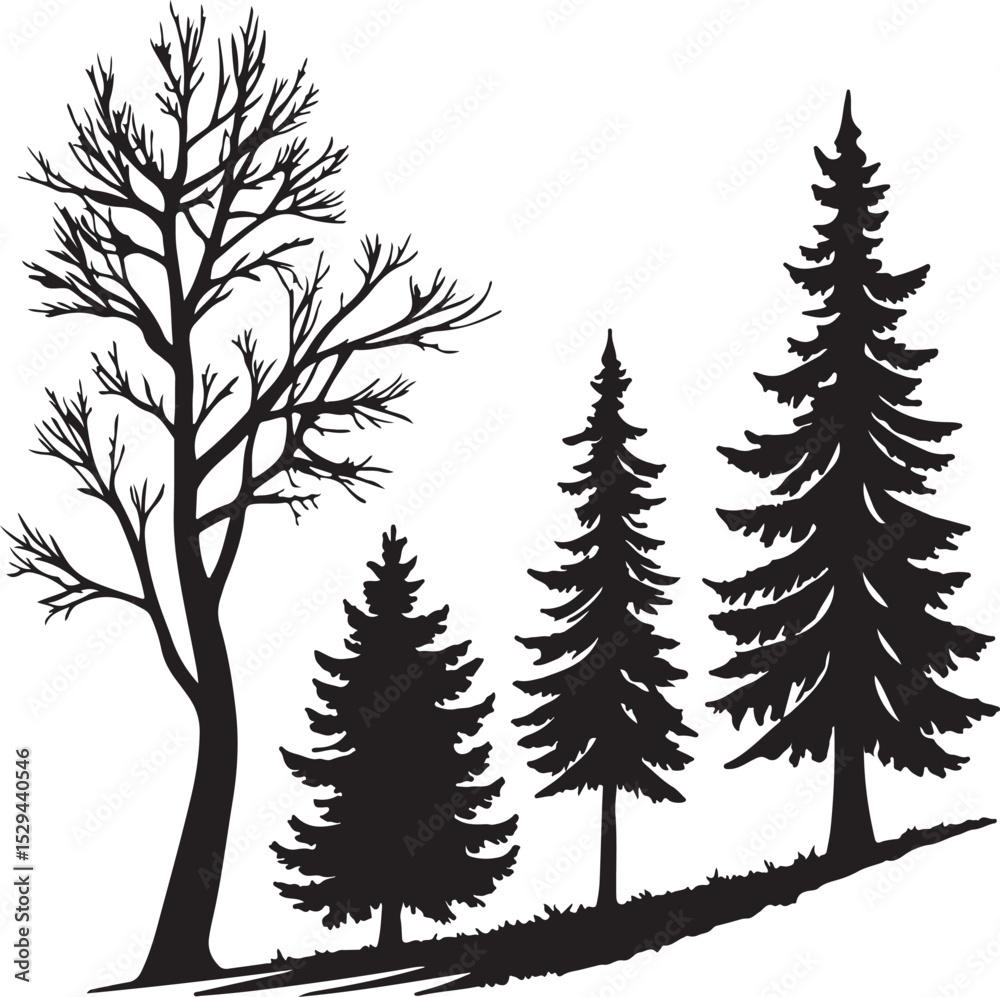 Obraz premium Black Silhouette of Leafless Tree and Three Coniferous Trees on White Background