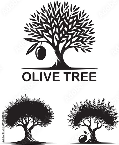 Black silhouette olive branch with leaves and fruit.  Olive tree twig botanical drawing
Olive tree silhouette icon isolated on white background.
