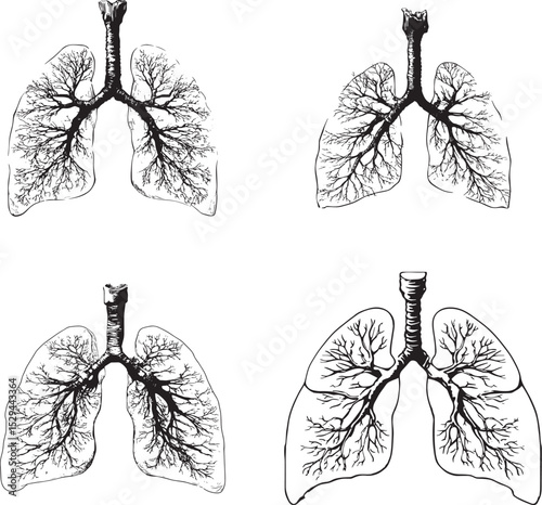 Human Lungs SVG Bundle