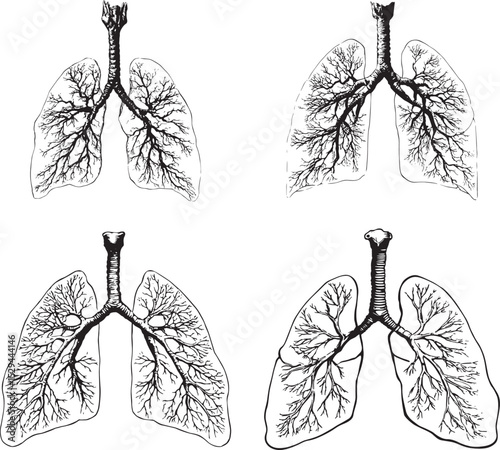 Human Lungs SVG Bundle