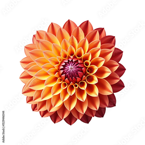 Orange-Dahlia-Flower-Closeup-Floral-Photography-Autumn-Colors