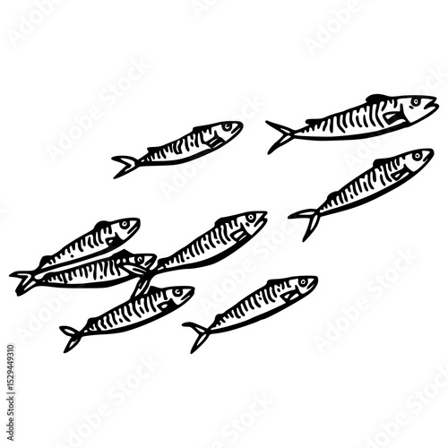 marine life fish pack design