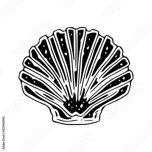 oceanic clam drawing design