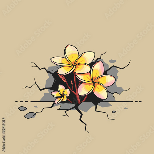 Frangipani flower blooming through cracked earth