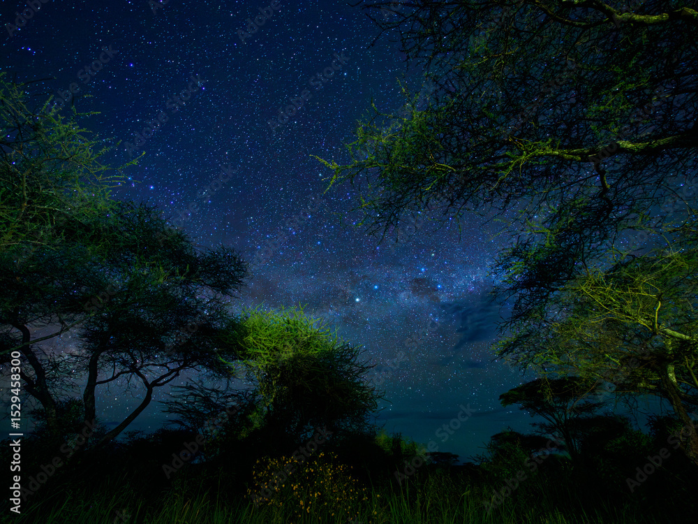 Fototapeta premium Noche estrellada en África con un poco de via láctea