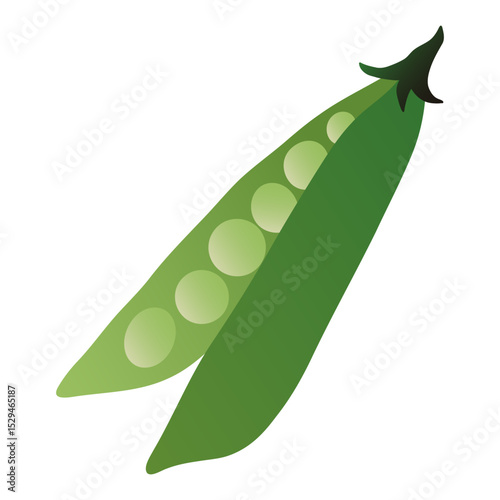Green pea pod. Fresh peas in pod with seeds, organic natural vegetarian food gradient flat style, healthy diet nutrition ingredient. Vector isolated illustration