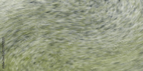 close up of a fur tree