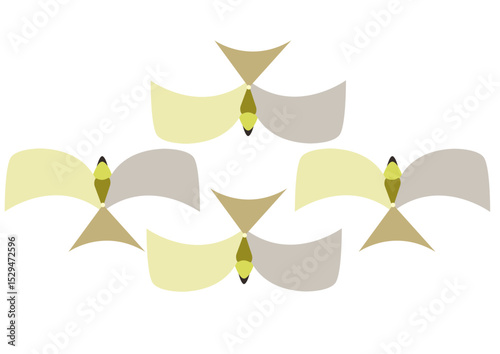 cockatoo geometric pattern
