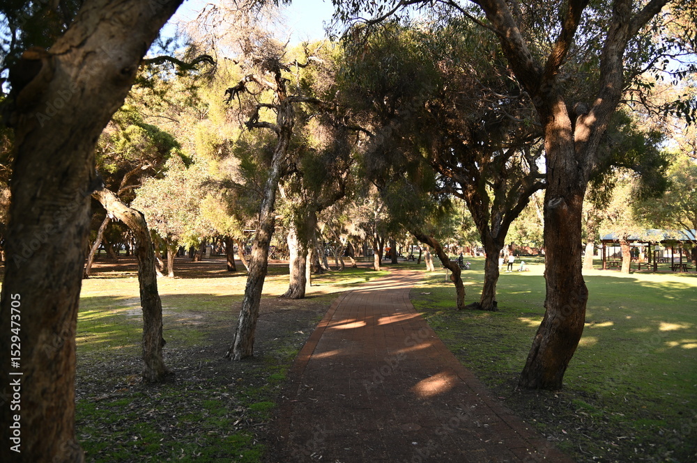 Obraz premium Whiteman, Australia – June 1, 2025: The Whiteman Park, Perth of Western Australia