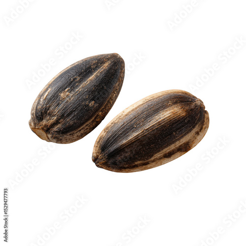 Wallpaper Mural Close up shot showcasing two sunflower seeds with black and white striped shells on a black background Torontodigital.ca