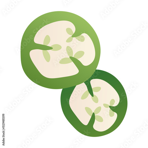 Sliced jalapeno pepper. Cartoon green chili spicy ingredient, chopped raw vegetable for cooking design, ripe chopped green cayenne hot pepper pods. Vector isolated illustration