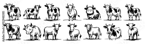 hand drawn farm cow vector icon set