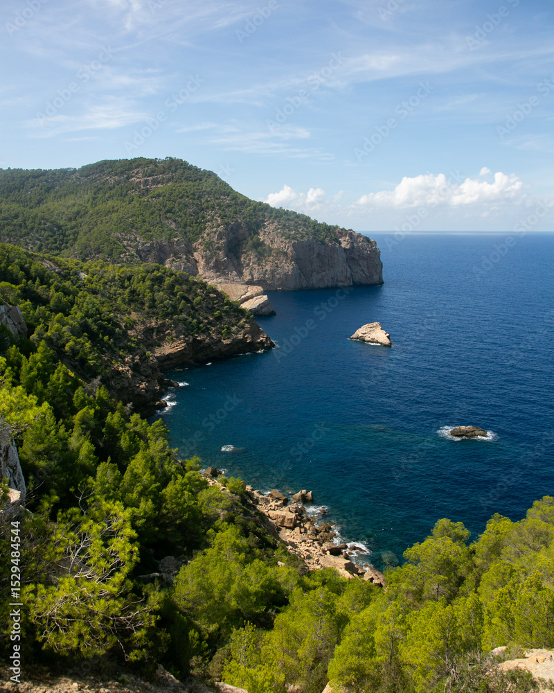 Fototapeta premium Beautiful wild beach of Es Portitxol on the island of Ibiza