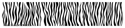 zebra stripe seamless border pattern