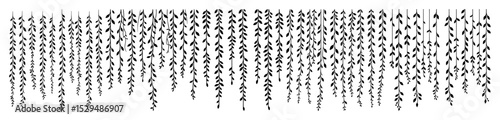 hanging willow branches botanical silhouette set