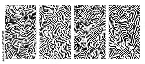 high detail zebra texture pattern pack