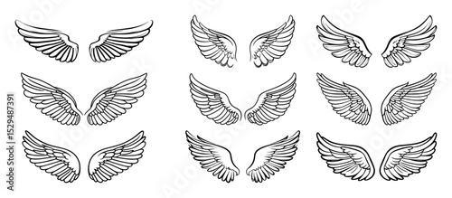 sketch style bird wings vector collection