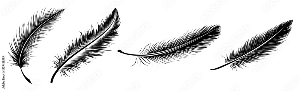 Fototapeta premium realistic feather sketch vector illustrations