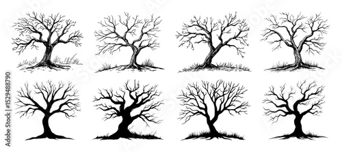 bare winter tree sketch vector set