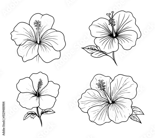 hibiscus flower hand drawn vector set