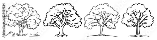 realistic deciduous trees hand drawn vector set