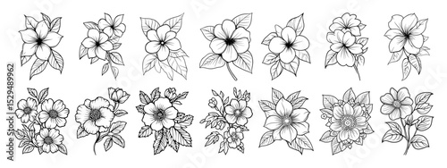 large collection of delicate floral sketches