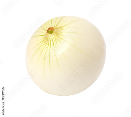 onion isolated on transparent background