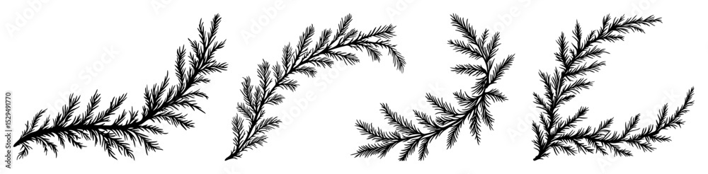 Fototapeta premium hand drawn pine branches and twigs set