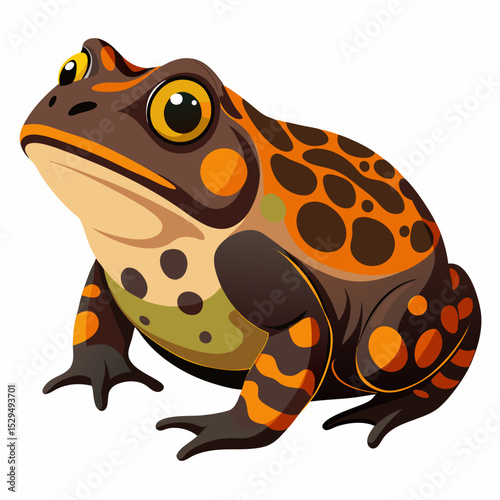Detailed Illustration of a Surinam Toad on a White Background for Educational or Design Purposes