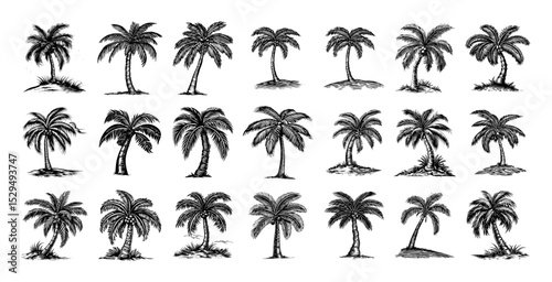 collection of palm tree sketches in various styles