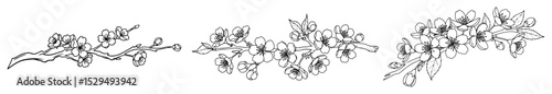 cherry blossom border with delicate flower branches