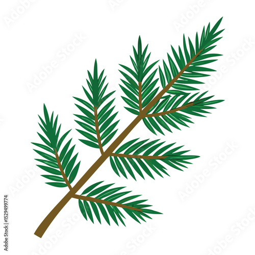 Fir branch clipart graphic vector