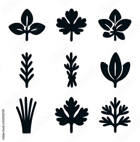 Culinary Herbs Icons. Solid, filled icons set of culinary garden herbs: basil icon, cilantro leaf, mint sprig,