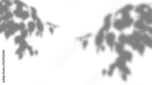 Creative overlay of botanical shadows on transparent background. Subtle foliage silhouettes. Elegant spring or summer mockup for natural product design templates.