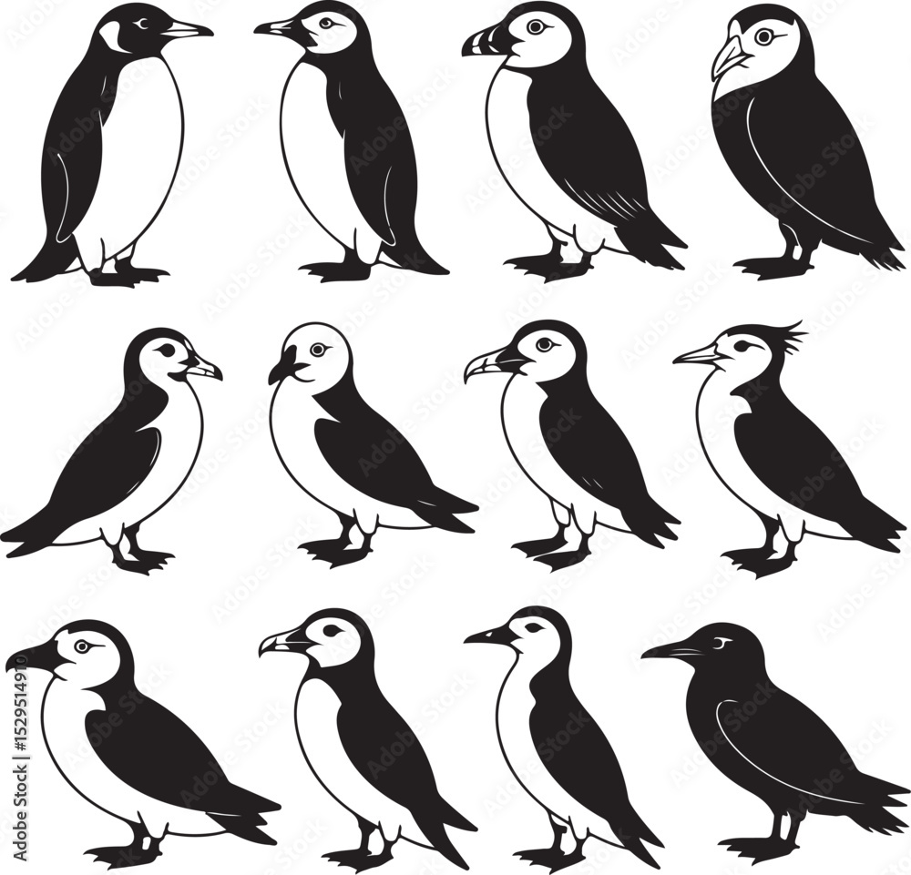 Naklejka premium Cold Climate Bird Silhouette Vector Bundle – Emperor Penguin, Puffin, Snowy Owl, Arctic Tern, Albatross & More