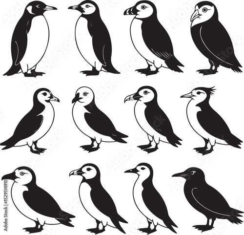 Cold Climate Bird Silhouette Vector Bundle – Emperor Penguin, Puffin, Snowy Owl, Arctic Tern, Albatross & More